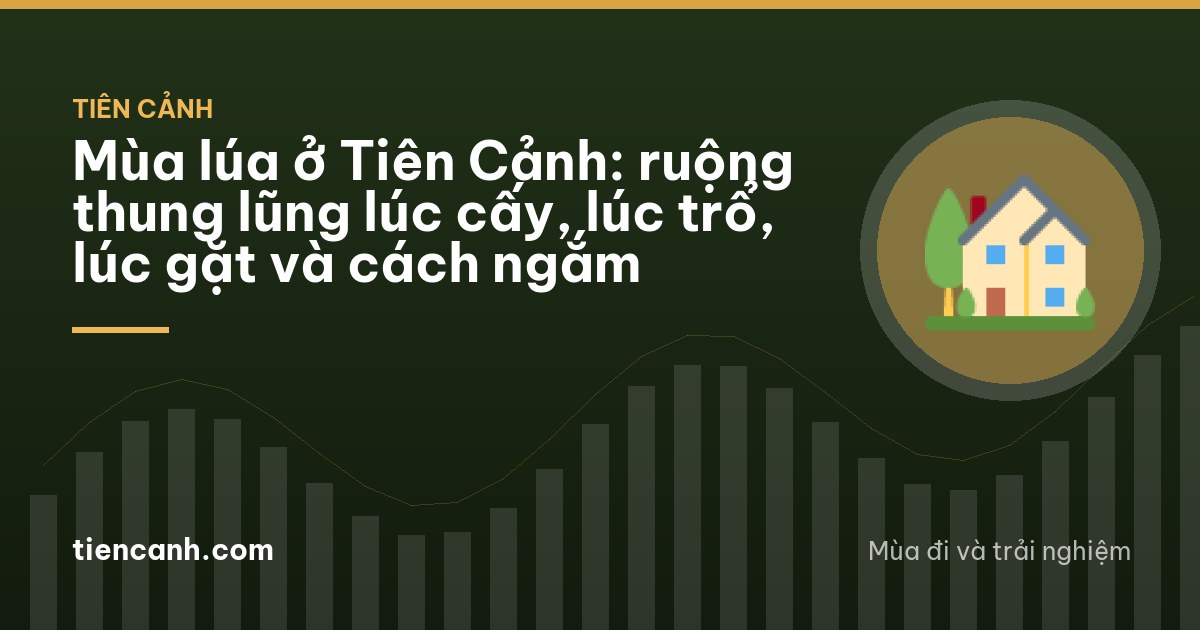 Small terraced rice paddies stepping down a narrow valley between garden hills, young green rice reflecting the sky, a farmer bending in the water far away, clear morning light